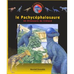 Le Pachycphalosaure