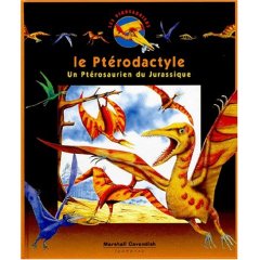 Le pterodactyle